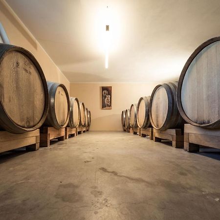 Vila Weingut Dona Appiano Sulla Strada Del Vino Exteriér fotografie