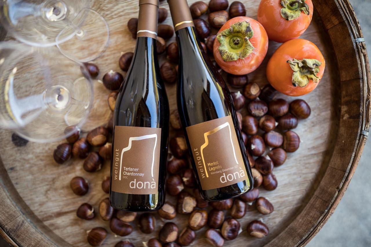Vila Weingut Dona Appiano Sulla Strada Del Vino Exteriér fotografie