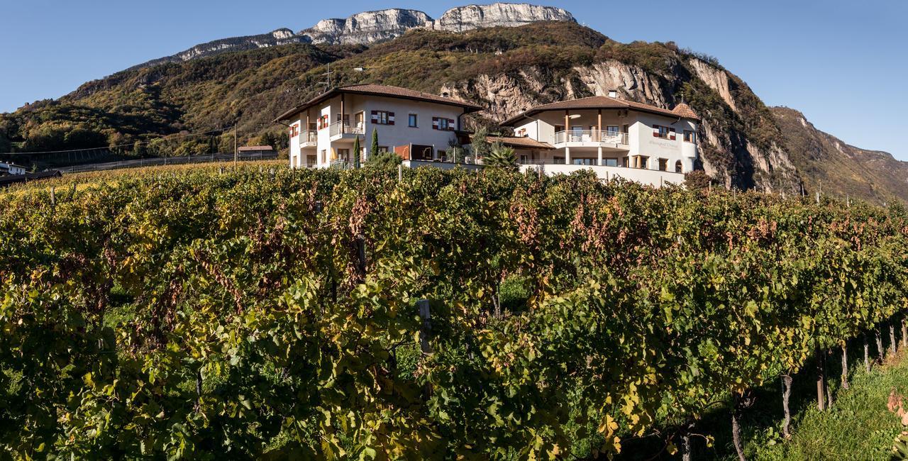 Vila Weingut Dona Appiano Sulla Strada Del Vino Exteriér fotografie