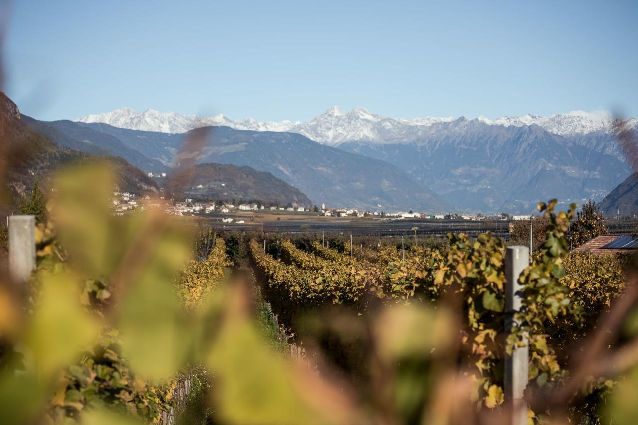 Vila Weingut Dona Appiano Sulla Strada Del Vino Exteriér fotografie