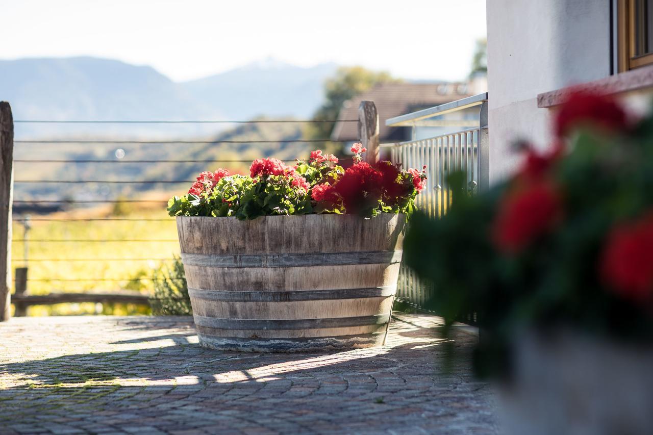 Vila Weingut Dona Appiano Sulla Strada Del Vino Exteriér fotografie